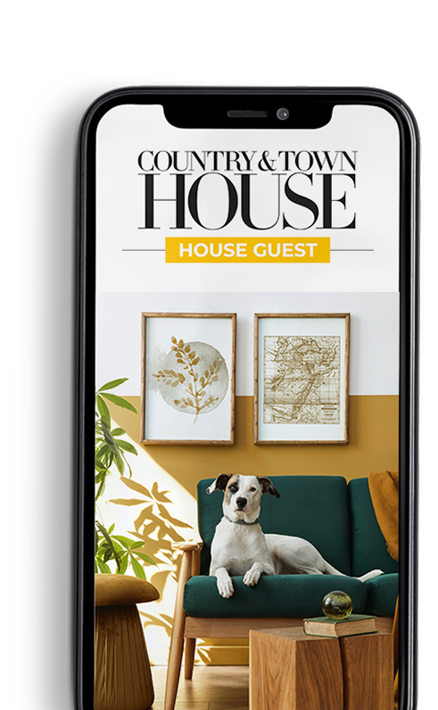 House Guest Cover