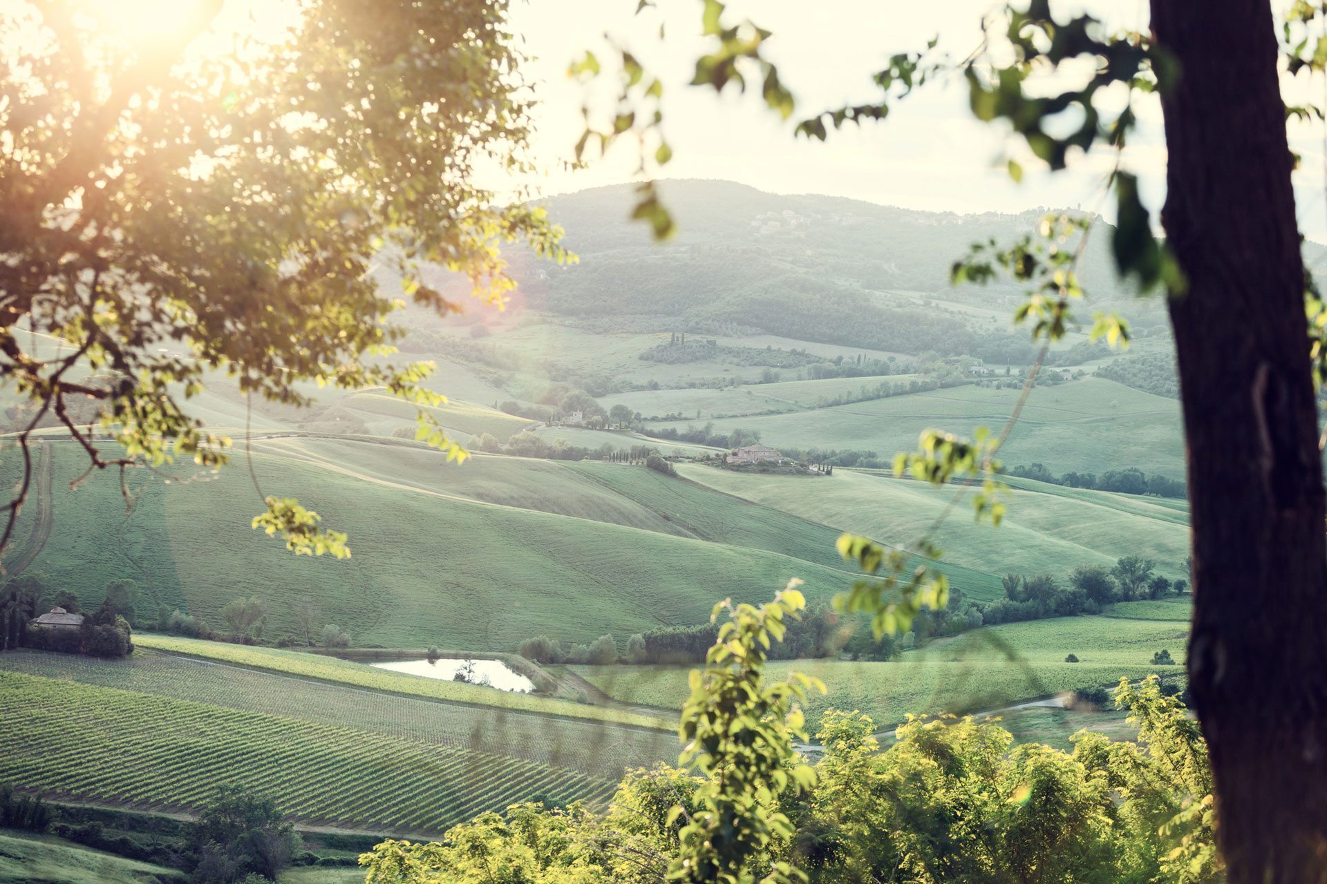 Country Inns - Room Views