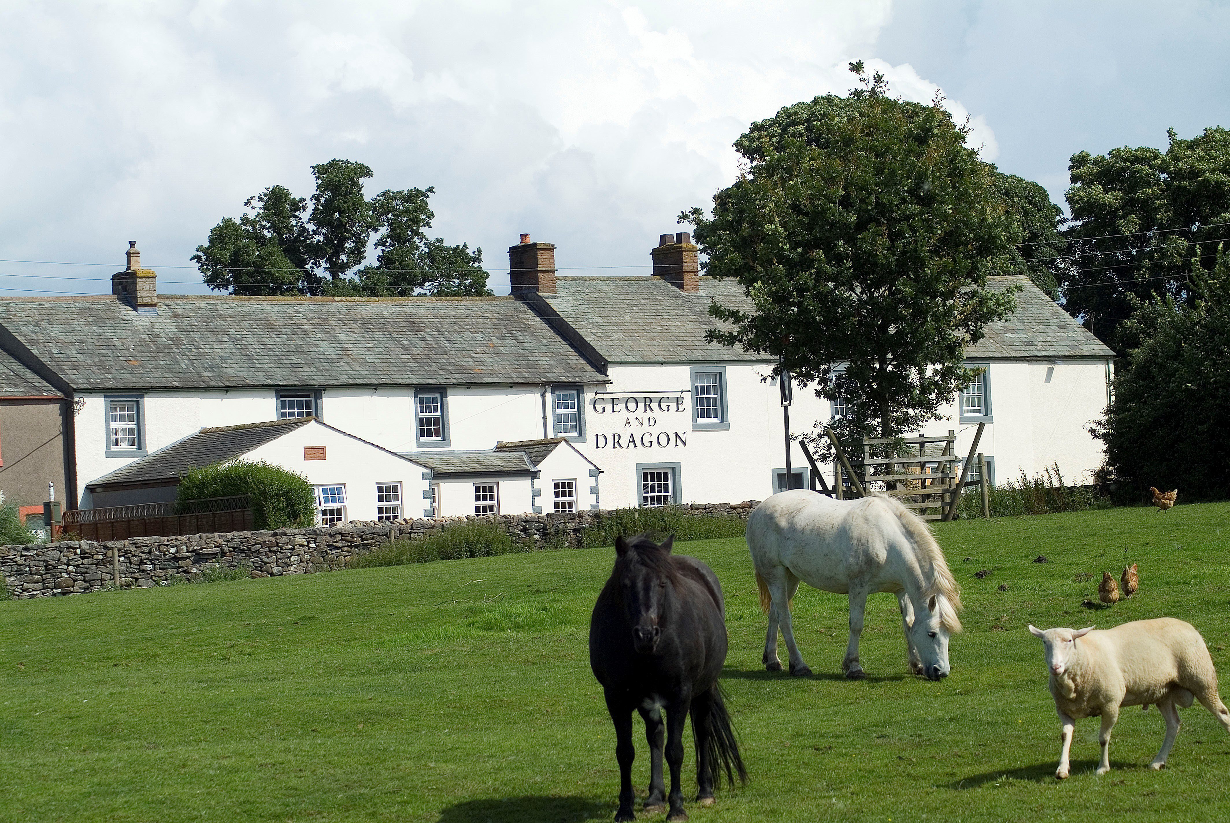 George and Dragon Review