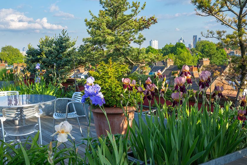 Great-Gardens-of-London-pg145-Corsica-Street-Islington-Christopher-Bradley-Hole-rooftop-design-pic-(c)-Marianne-Majerus