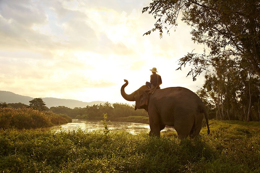 Elephant Adventure Thailand
