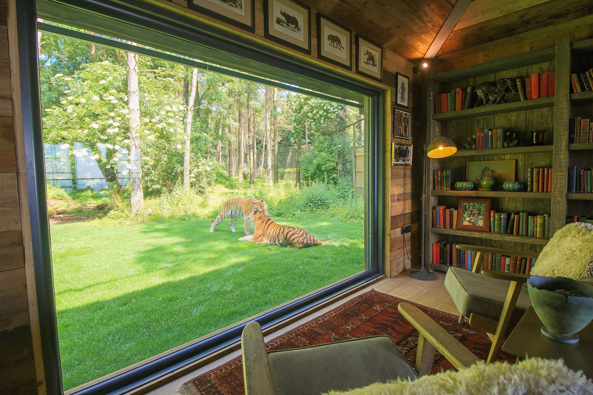 Tiger Lodge at Port Lymphe