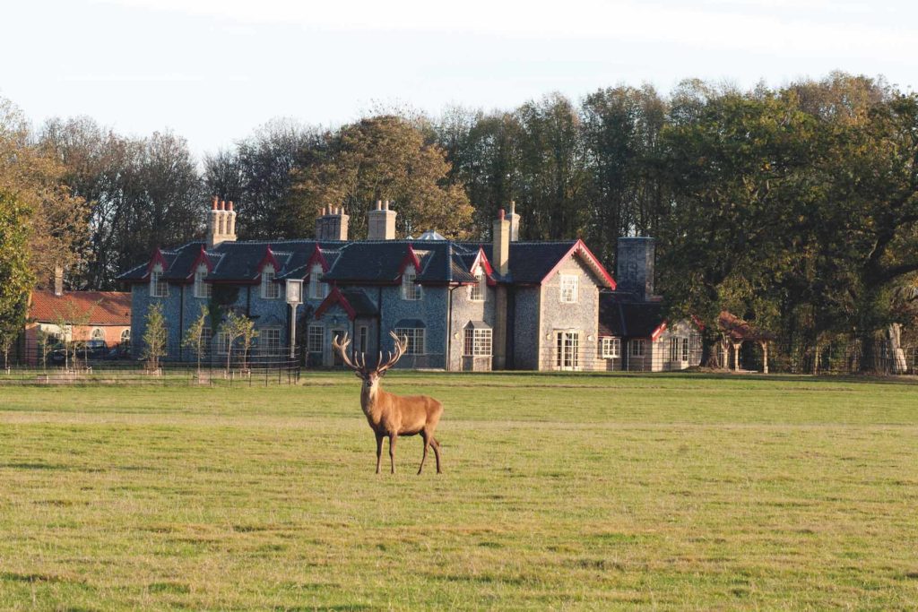 The Gunton Arms Thorpe Market, Norfolk Great British & Irish Hotels
