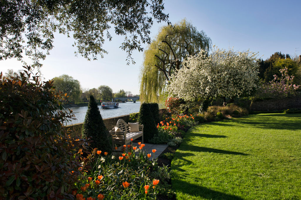The Bingham