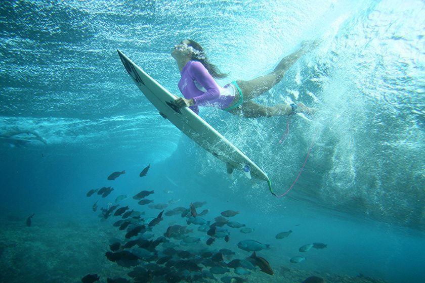 Surf Safaris