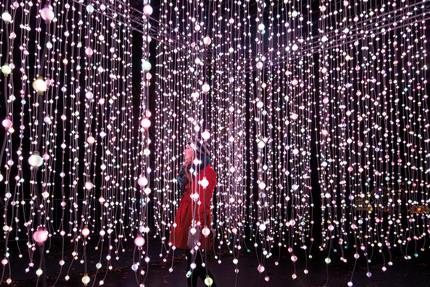 Christmas At Kew