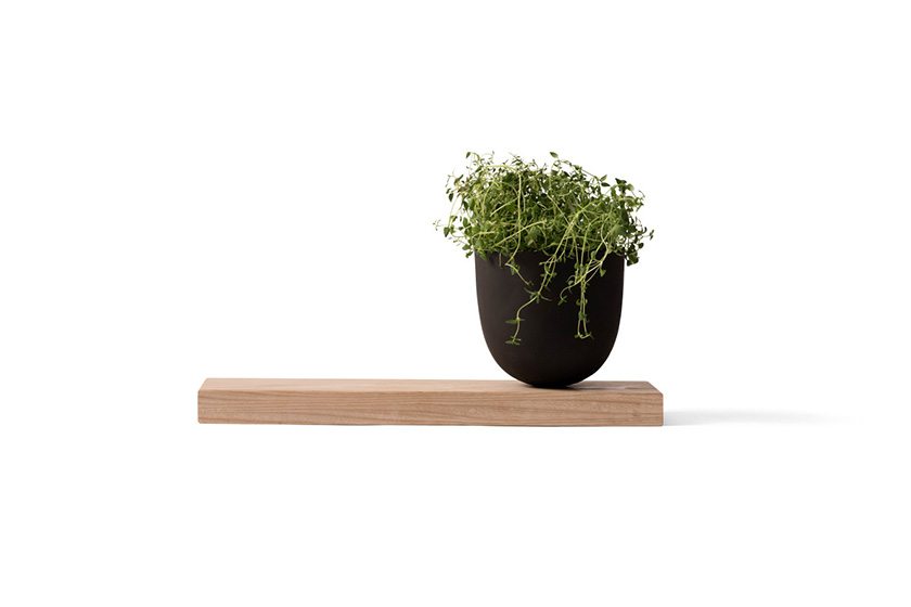Hallgeir Homstvedt from Menu Grow Pot with Wooden Board
