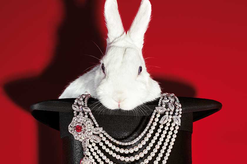 C&TH jewellery shoot