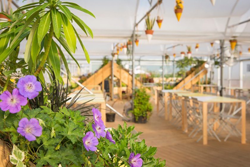 Farmopolis Plants