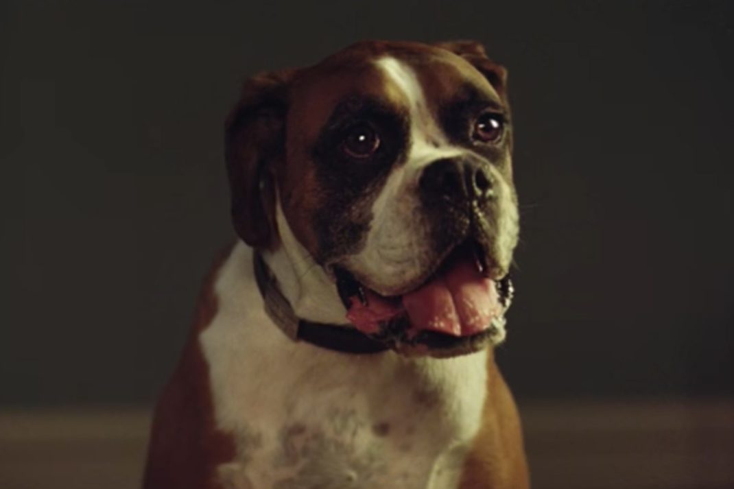 John Lewis Christmas Advert 2016