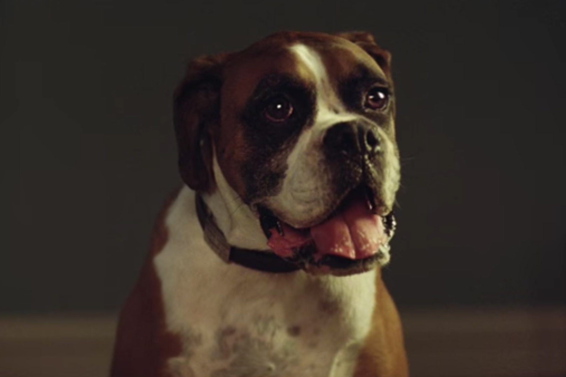 John Lewis Christmas Advert 2016