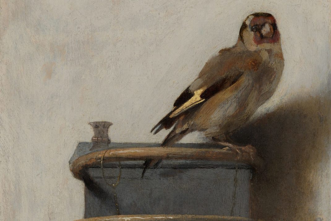 The Goldfinch by Carel Fabritius