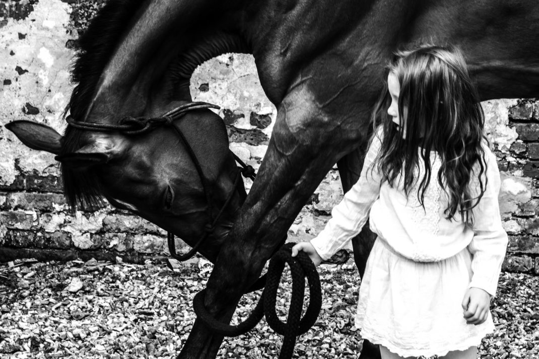 Horses & Humans by Lucy Sewill