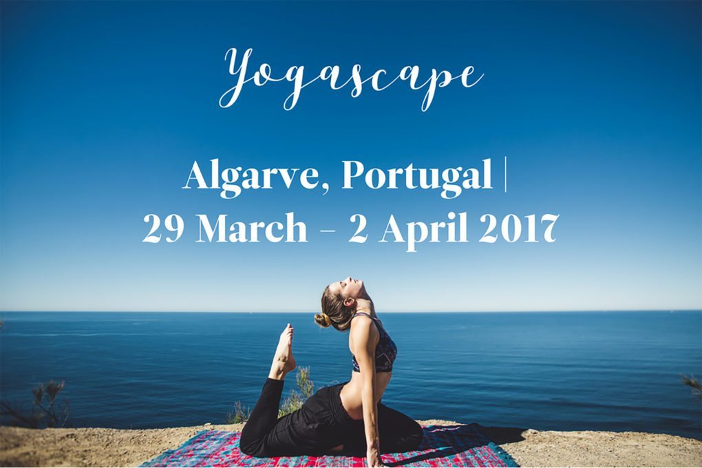 Escape and Co. Yogascape