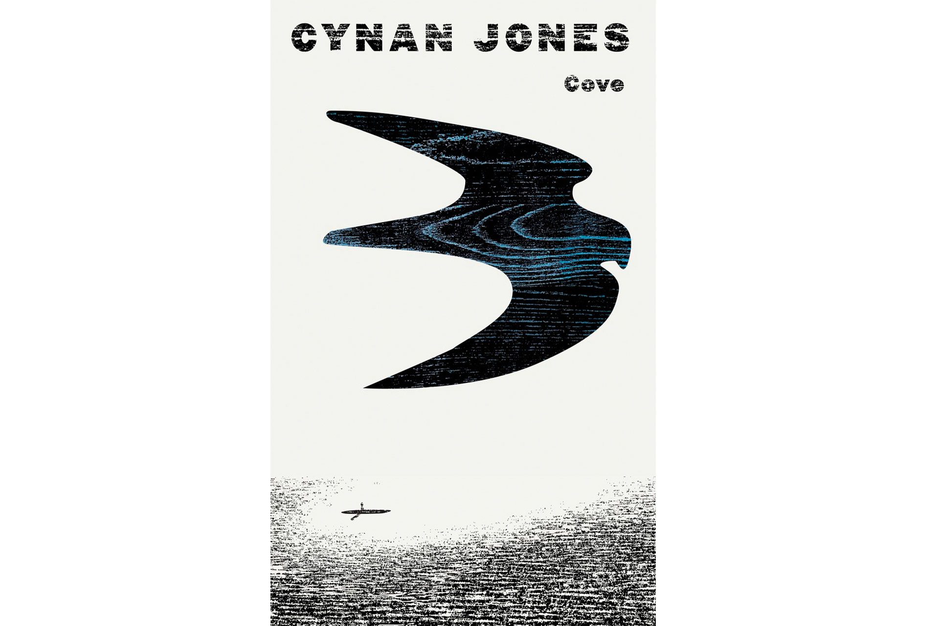 Cove Cynan Jones Book