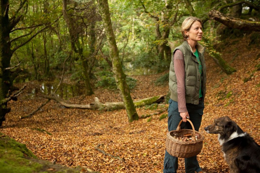 Woman foraging in the woods