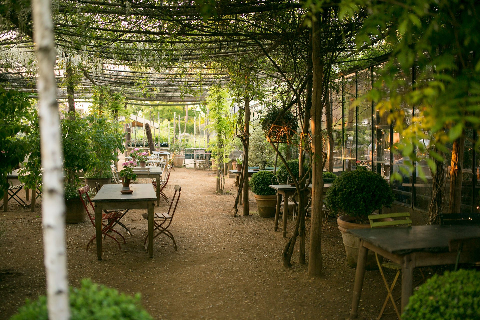 Petersham Nurseries Cafe Marimo Images