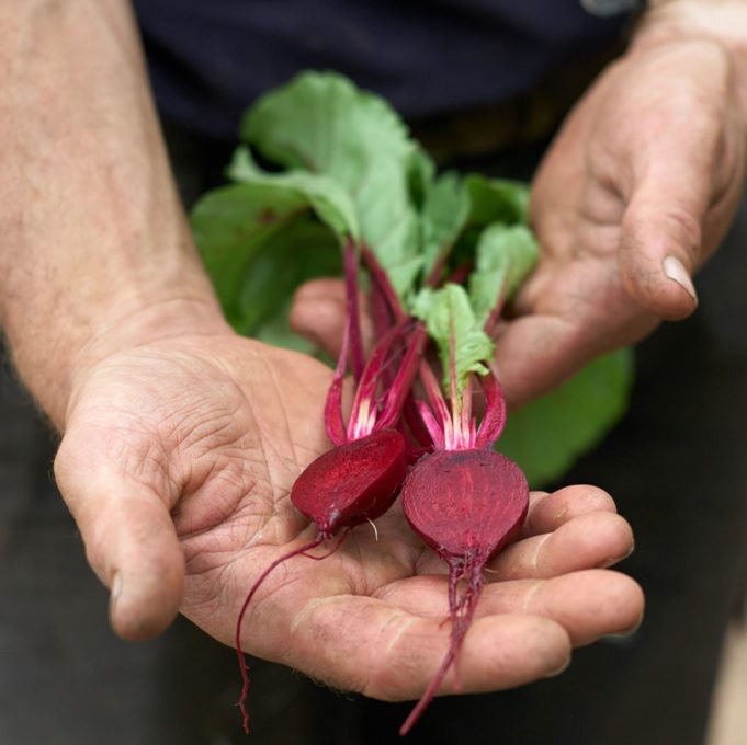 Skye Gyngell c Fern Verrow
