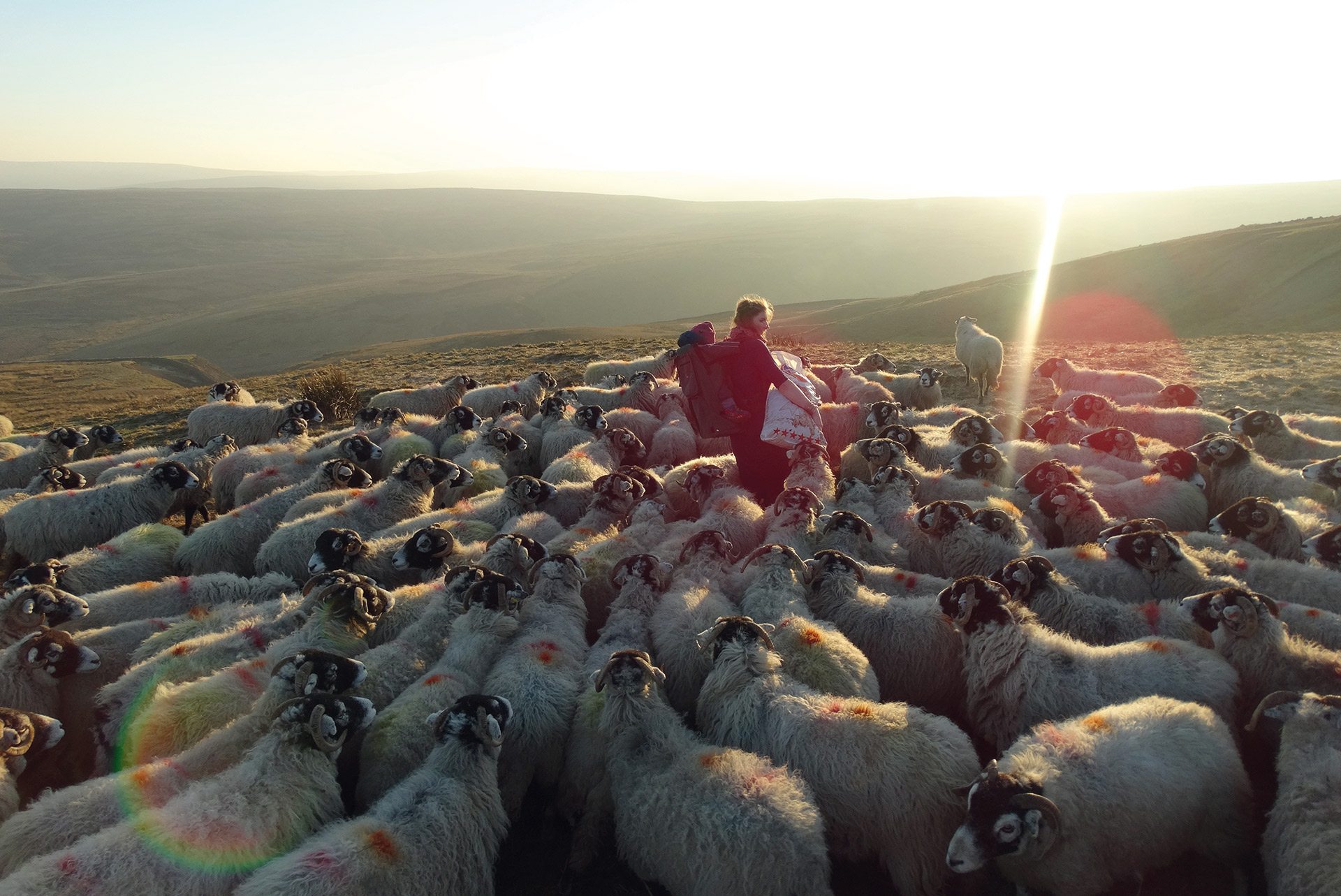 Amanda Owen on Her Family and Other Animals