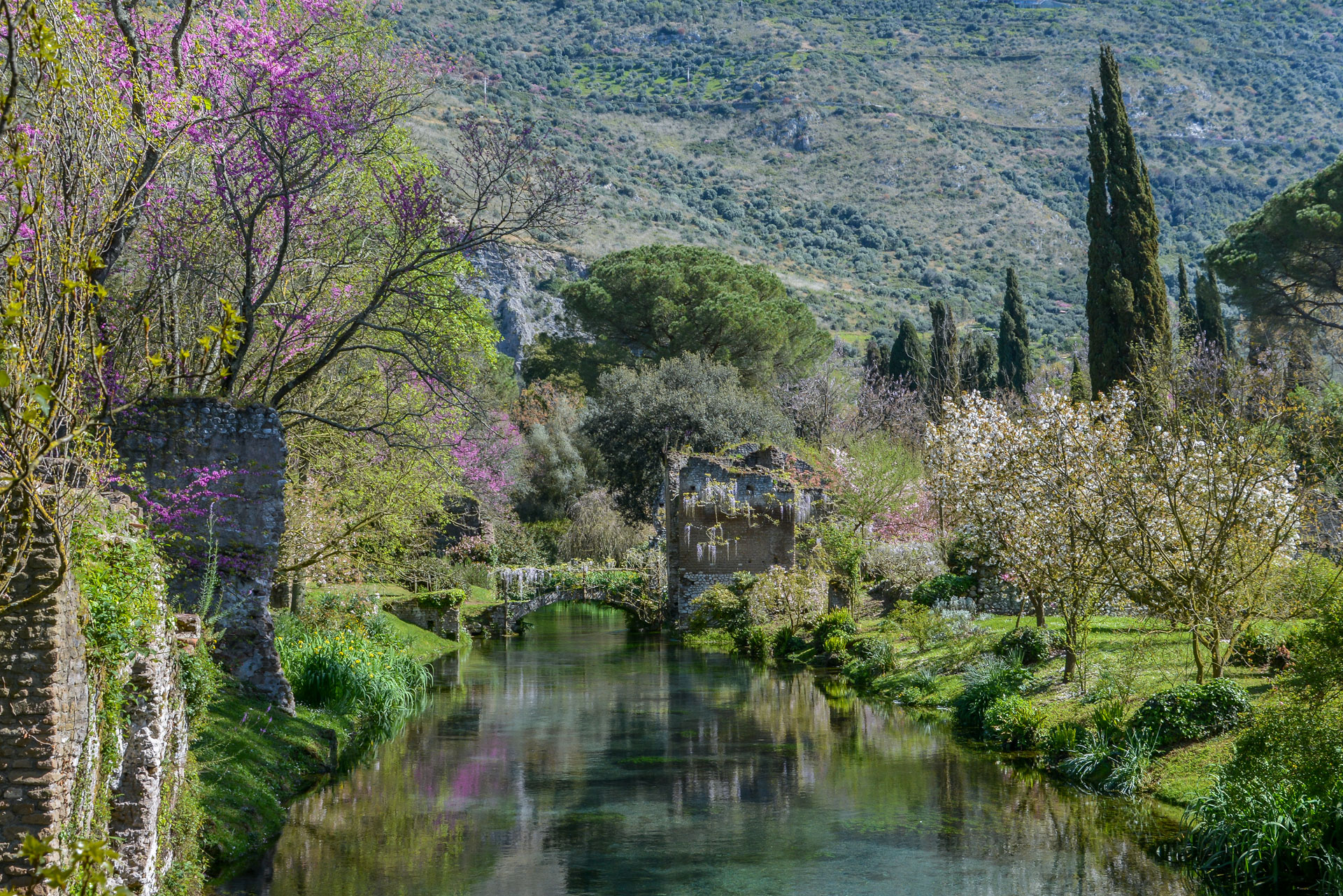 Garden of Ninfa