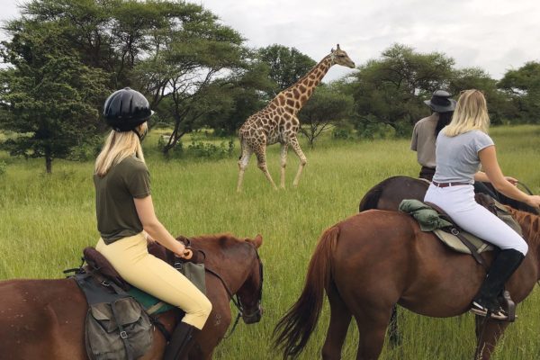 Ride Botswana 1