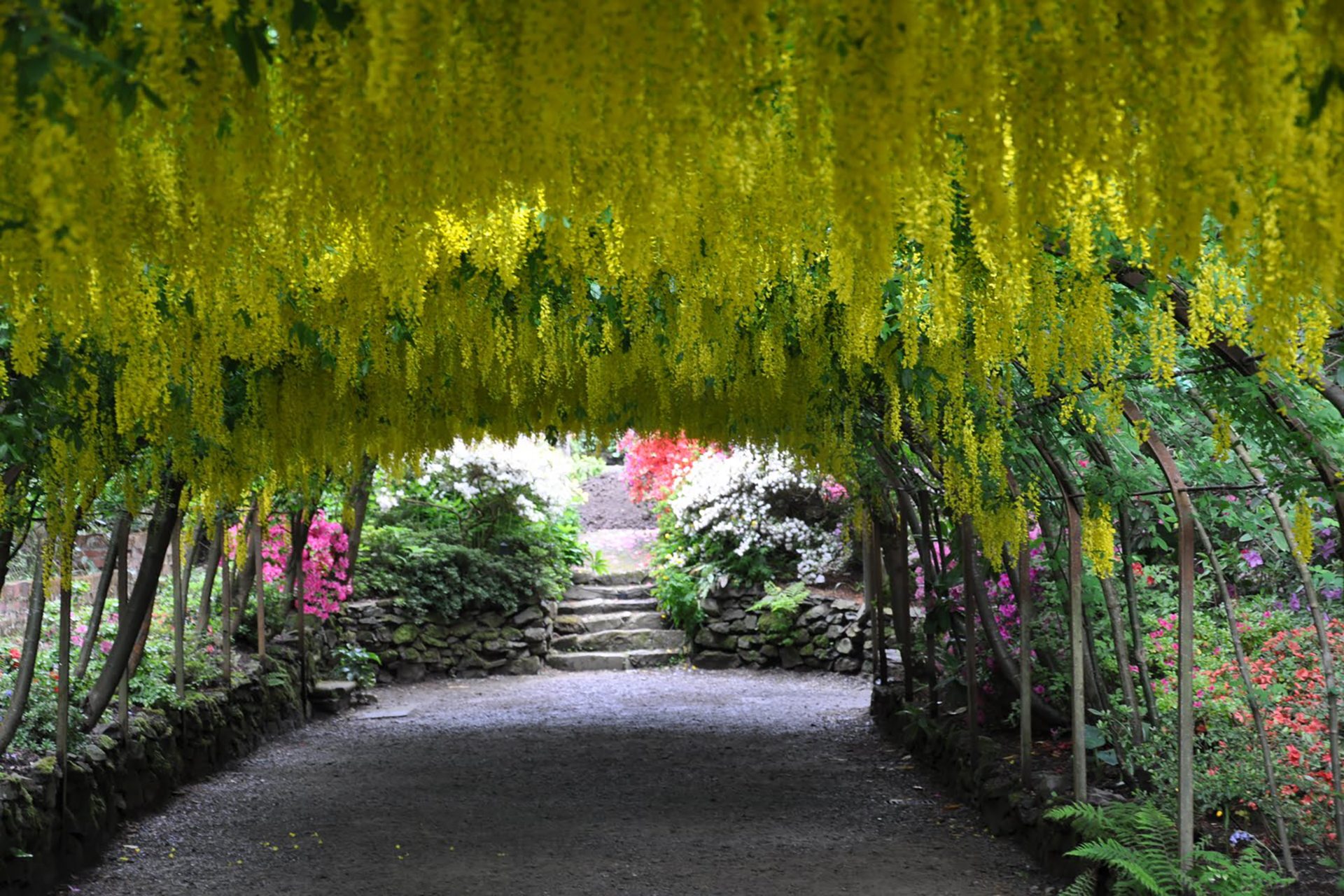 bodnant gardens