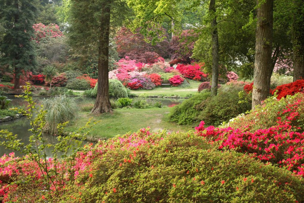 Exbury Gardens