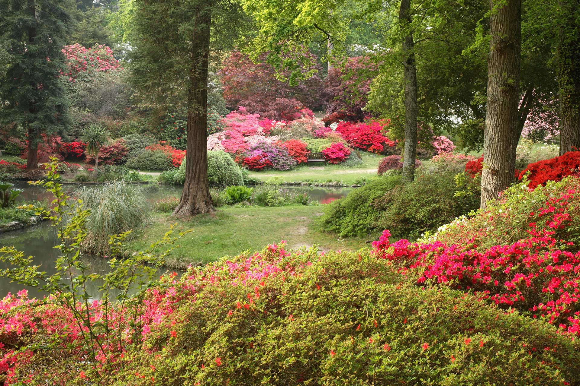 Exbury Gardens