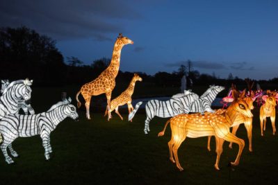 Longleat Safari Park‘s Festival of Light