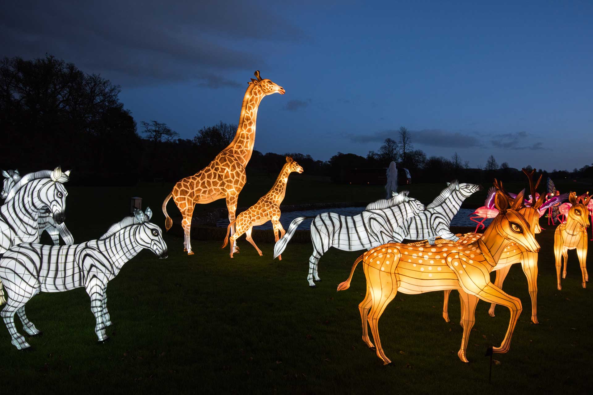 longleat safari park christmas lights