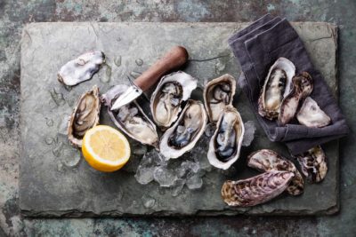 Falmouth Oyster Festival