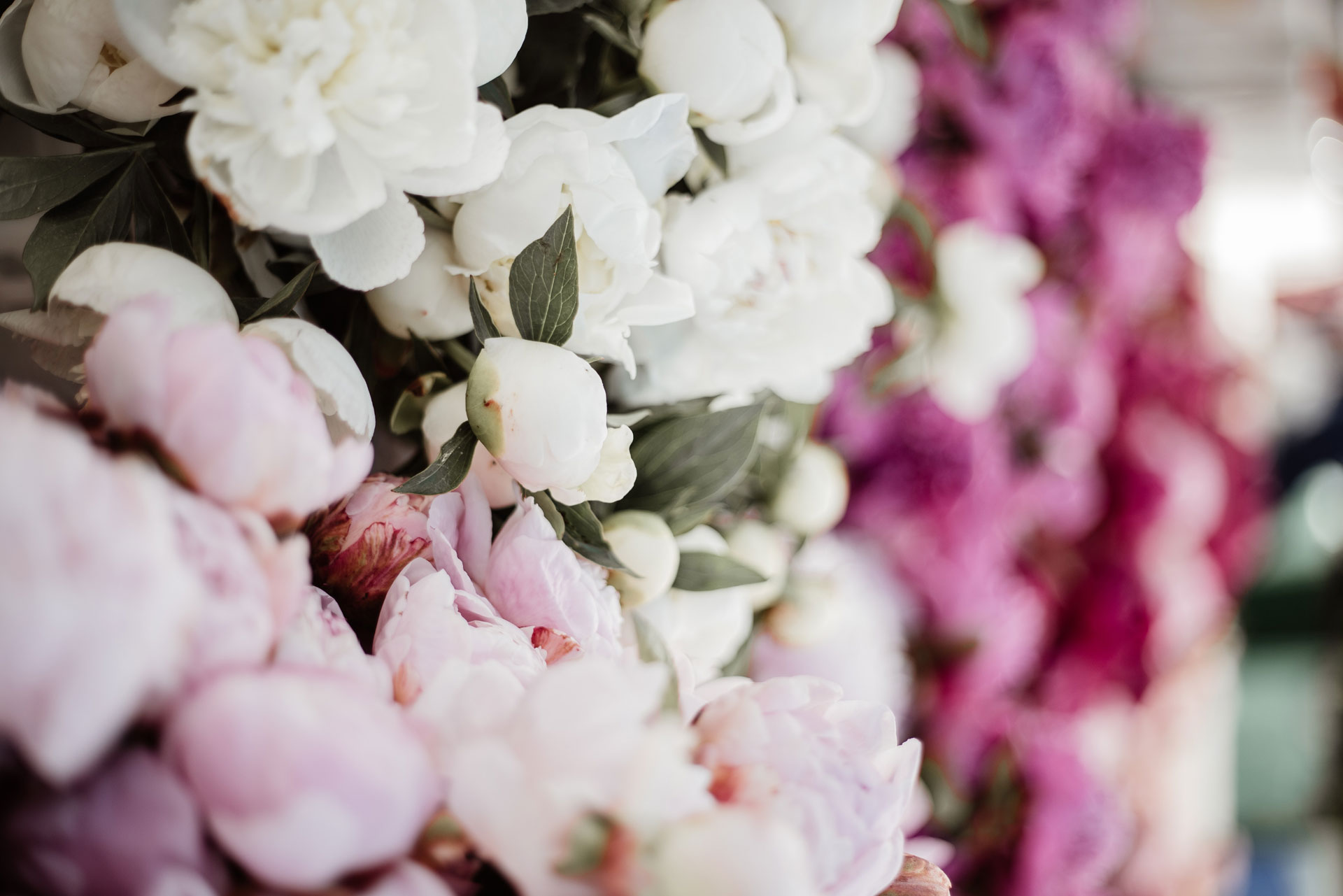 How to Create the Perfect Peony Bouquet