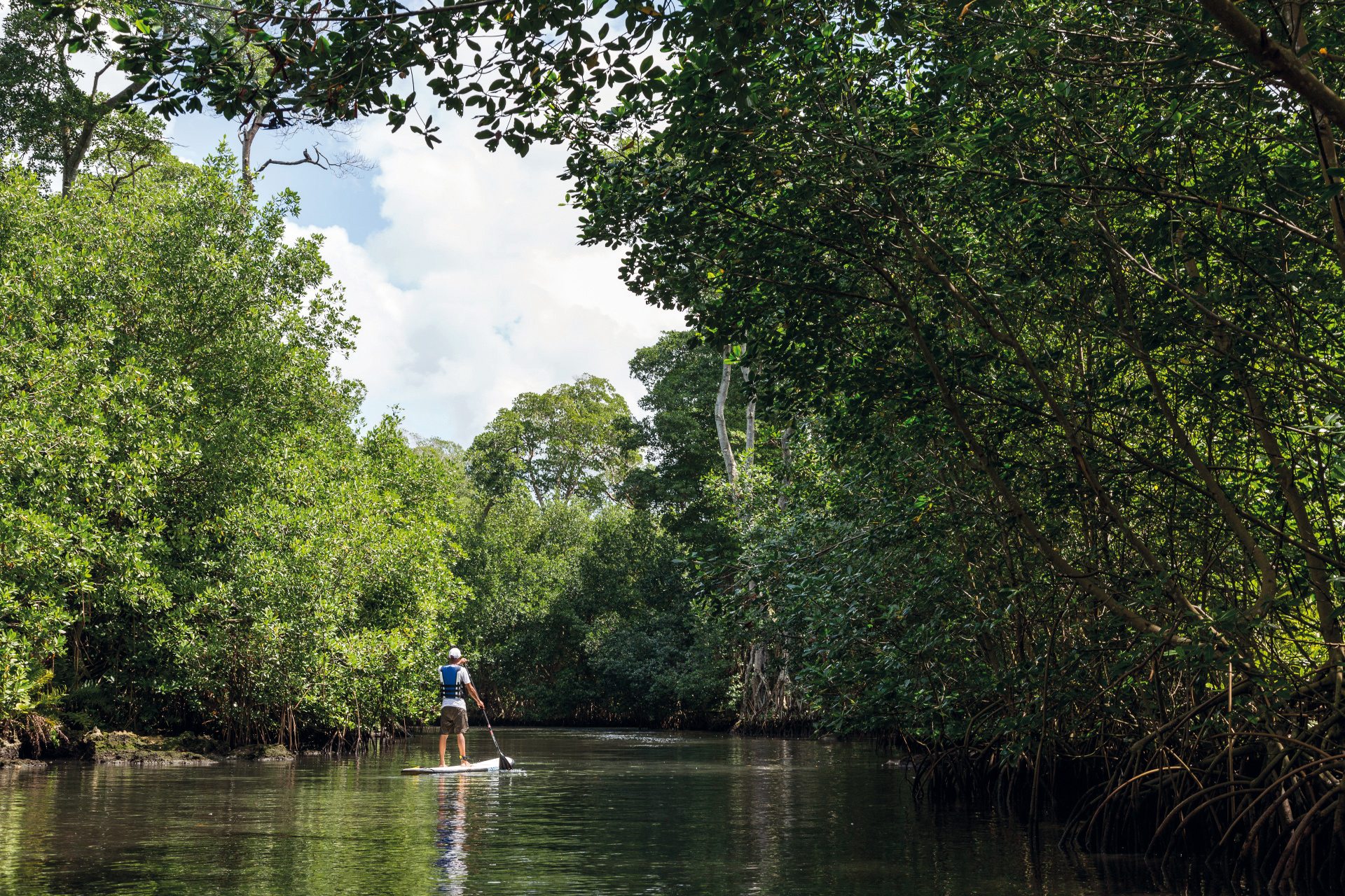 paddle boarding 