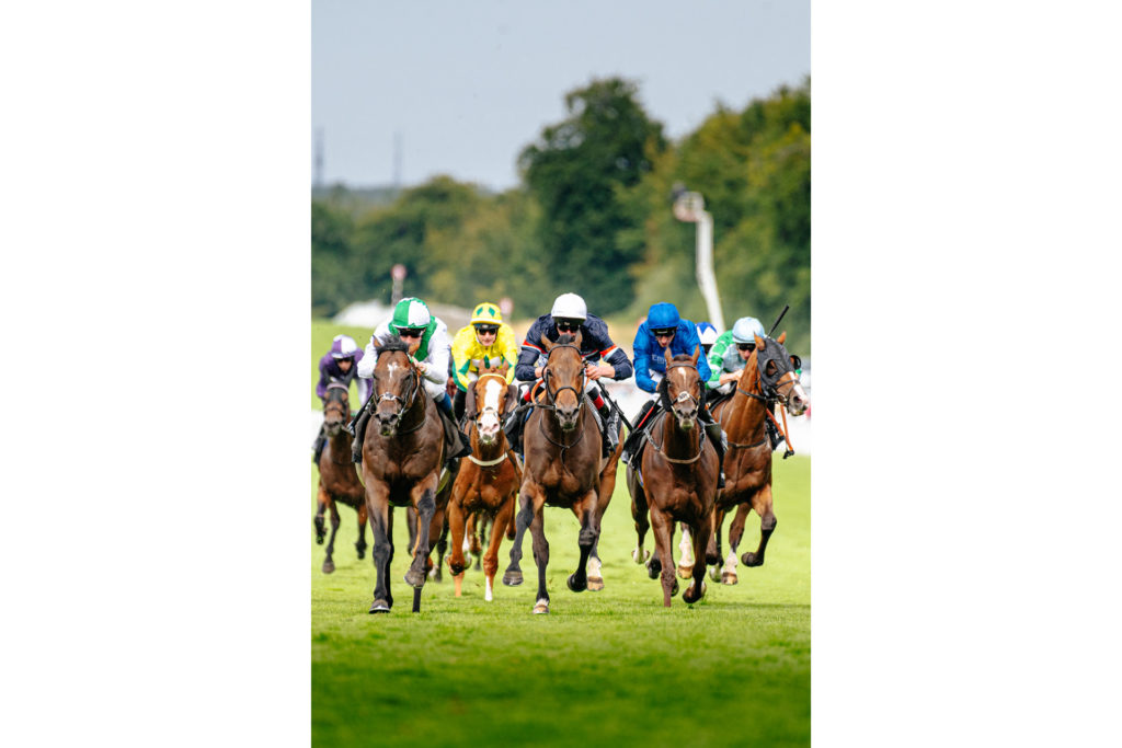 A Guide To Glorious Goodwood 2024 Enclosures, Tickets, Food