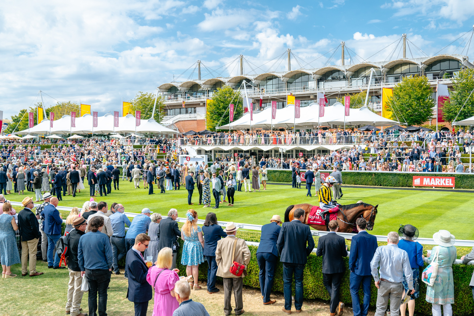 Horses and visitors at Glorious Goodwood