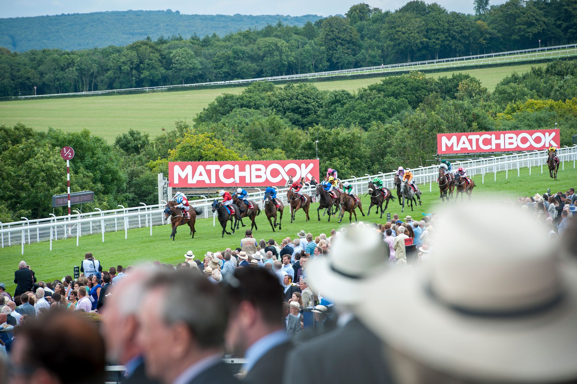 The C&amp;TH Guide to Glorious Goodwood | Horse Racing 2017
