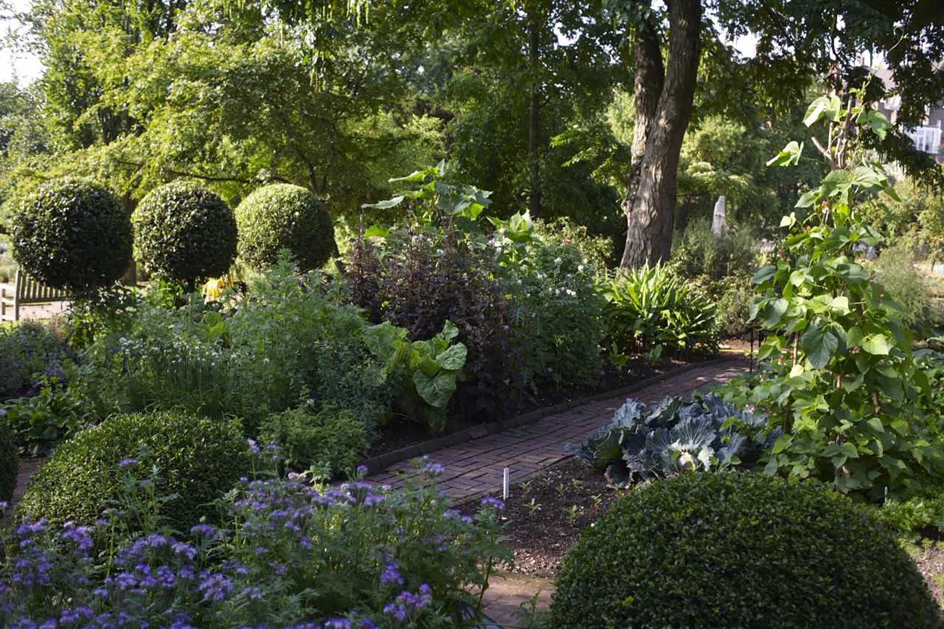 Chelsea Physic Gardens