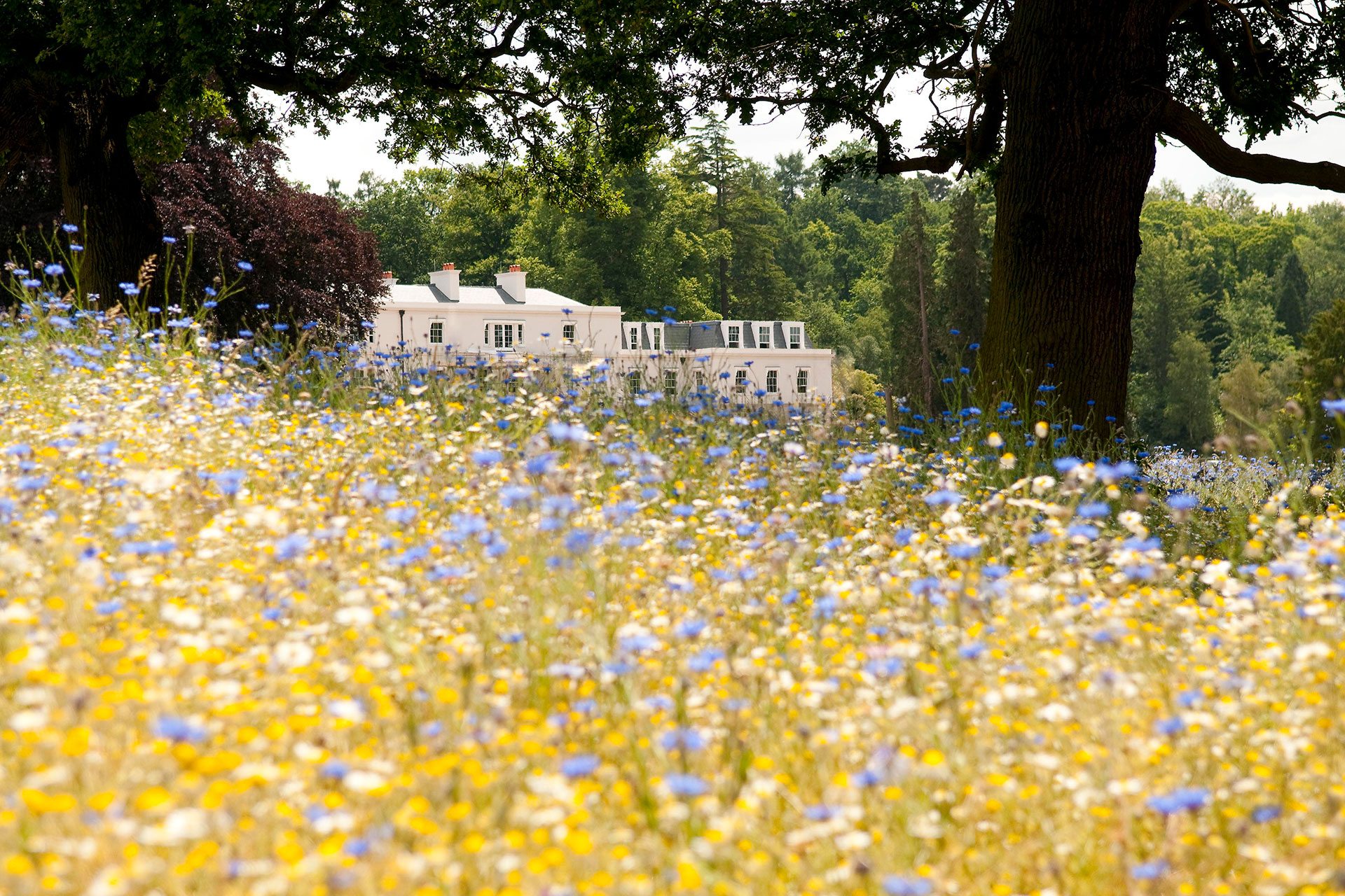 Review: Coworth Park
