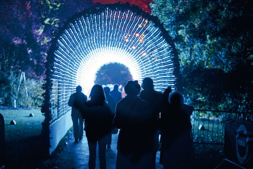 Christmas at Kew Light Tunnel