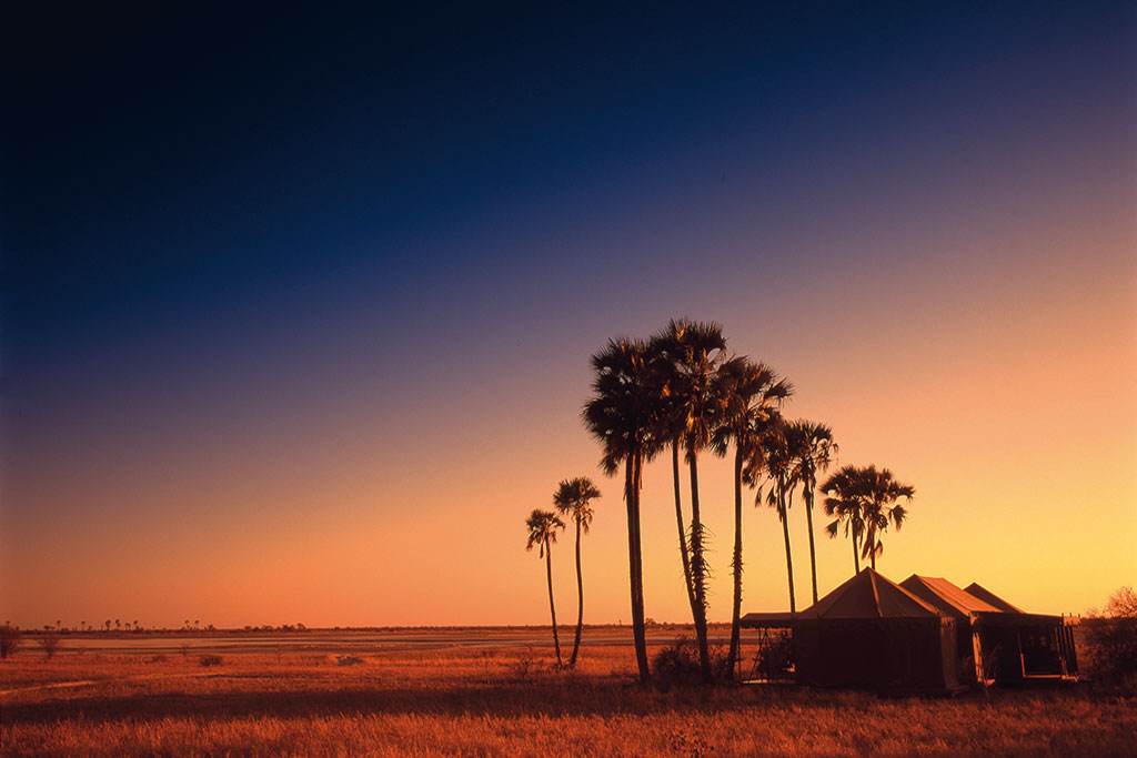 Jacks Camp Botswana