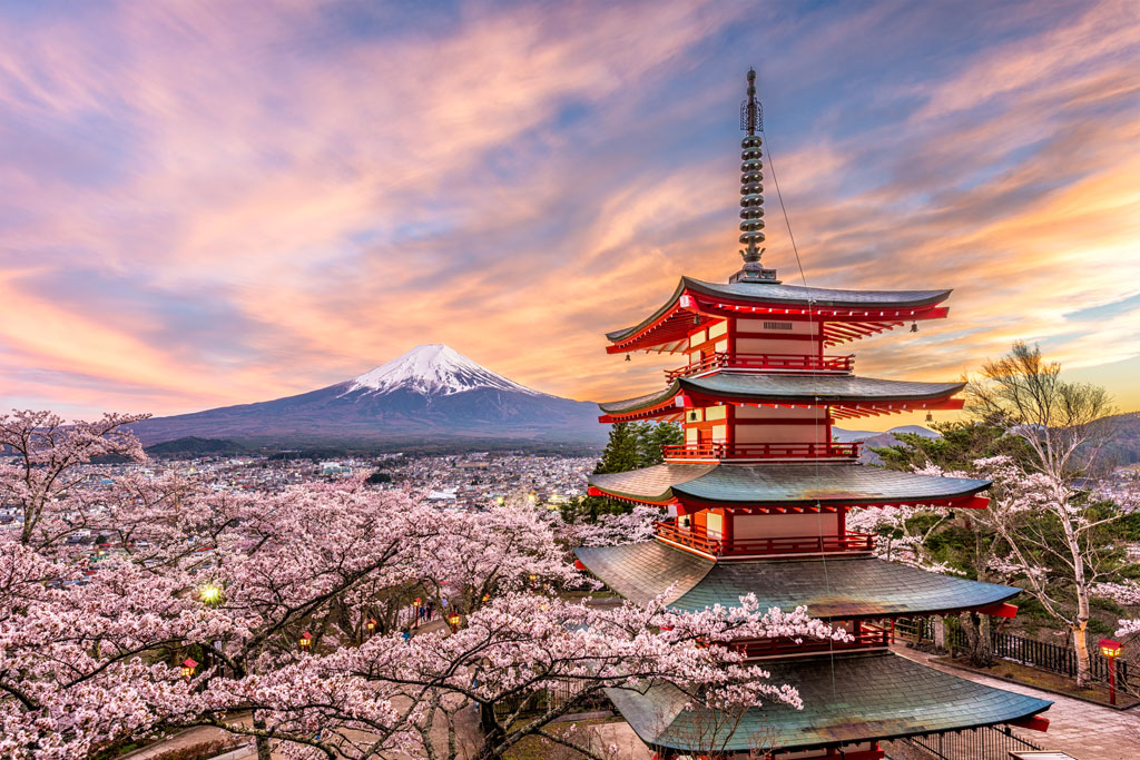 Japanese cherry blossom season in Fiji