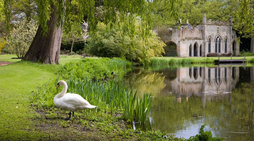 National Garden Scheme 