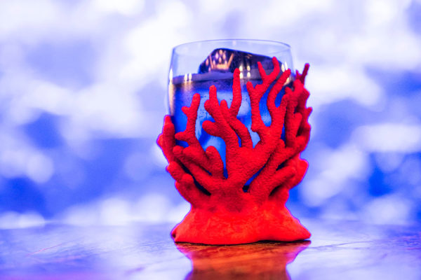 Sexy Fish Cocktail Neonach