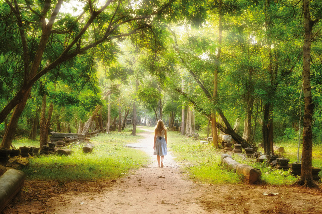 Forest Landscape