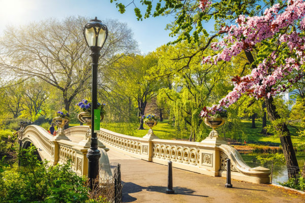 New York Spring