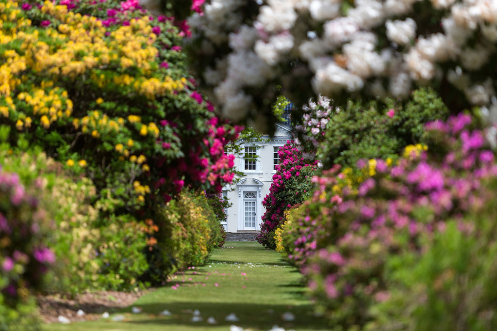 An LGBT+ Event in a Traditional English Garden