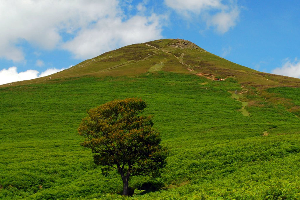 sugar loaf summit