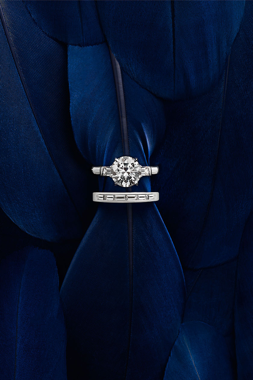 William & Son Novastella Collection