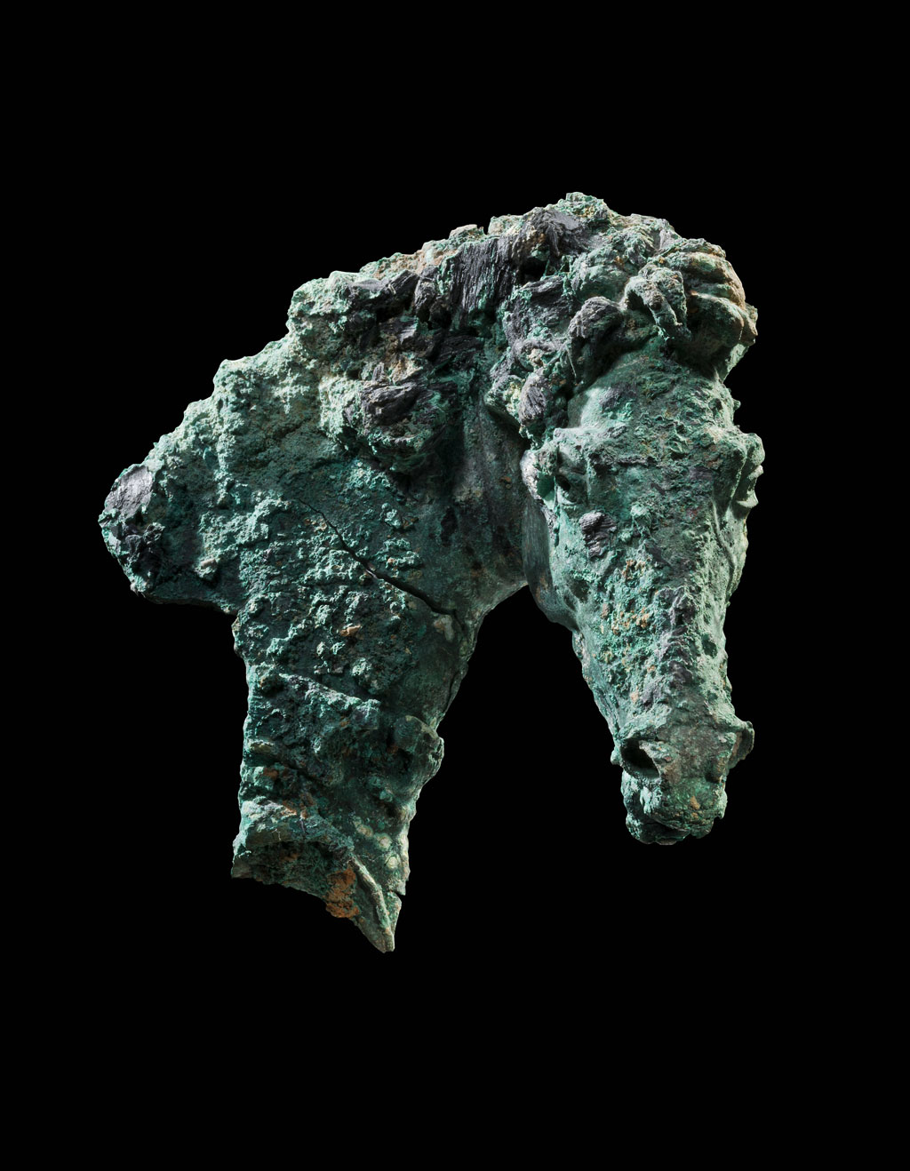 bronze horse head