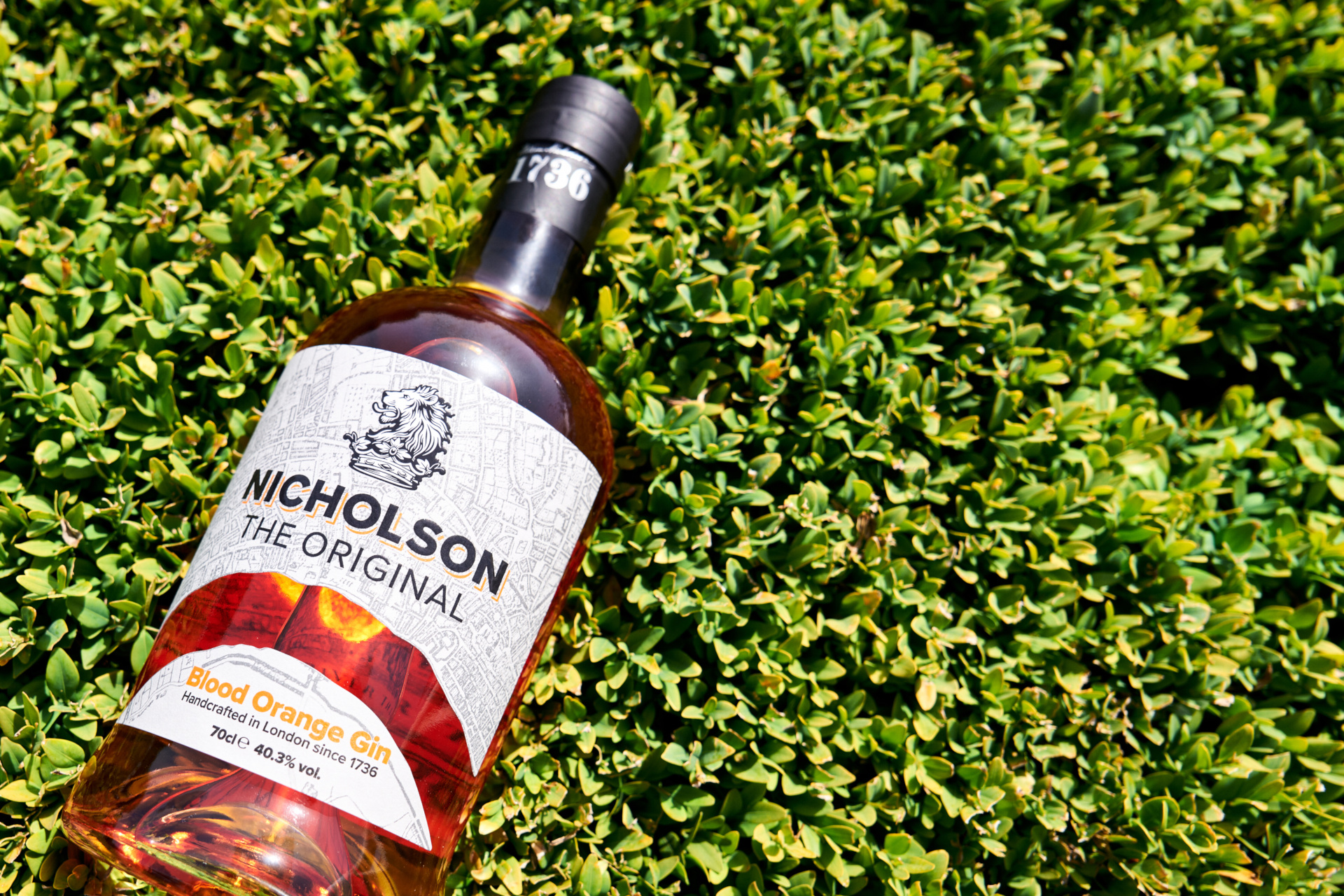 A bottle of Nicholson Blood Orange Gin lying on grass